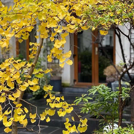 Camparis - - D'hotes Frühstückspension