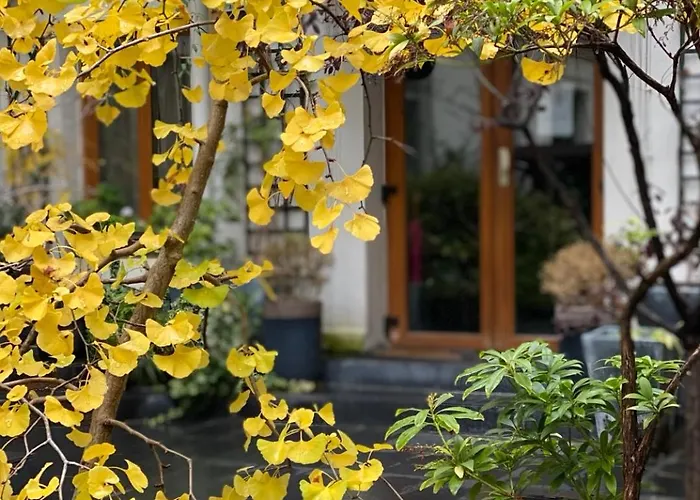 Camparis - - D'hotes ベッド・アンド・ブレックファスト