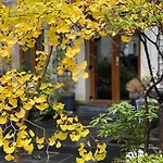 Camparis - - D'hotes Bed & Breakfast